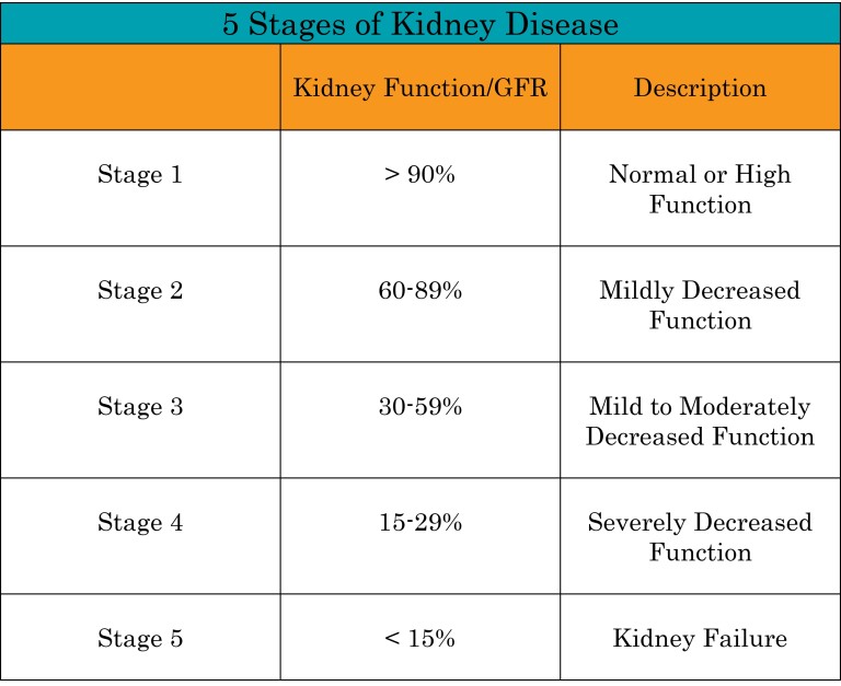 Understanding Kidney Disease - NephCure